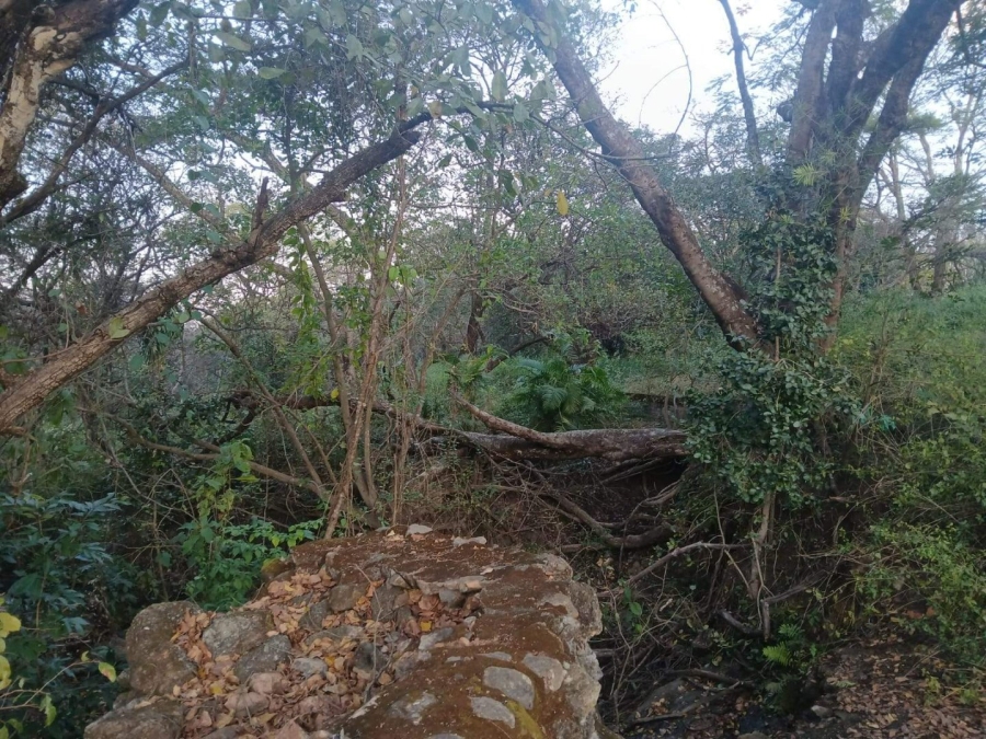 Commercial Property for Sale in Tzaneen Rural Limpopo
