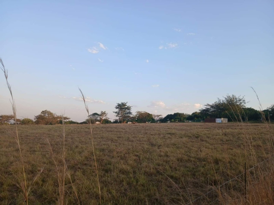 Commercial Property for Sale in Tzaneen Rural Limpopo