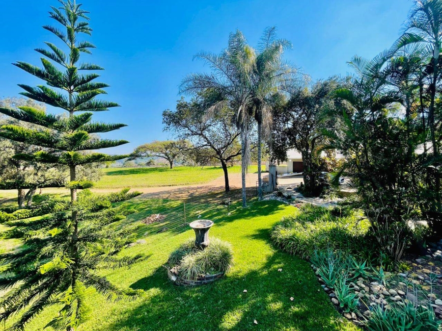 Commercial Property for Sale in Tzaneen Rural Limpopo