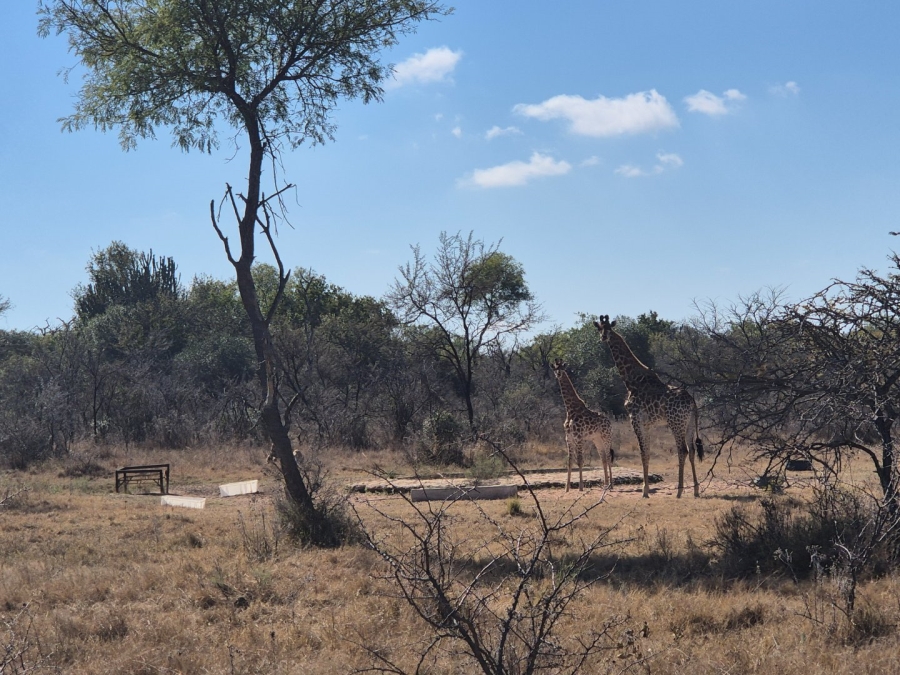 Commercial Property for Sale in Modimolle Rural Limpopo