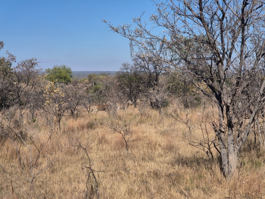 Commercial Property for Sale in Modimolle Rural Limpopo