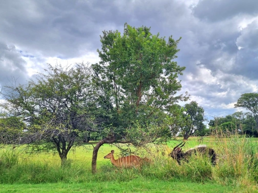 4 Bedroom Property for Sale in Koro Creek Golf Estate Limpopo