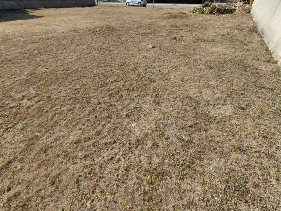 Commercial Property for Sale in Debron Limpopo