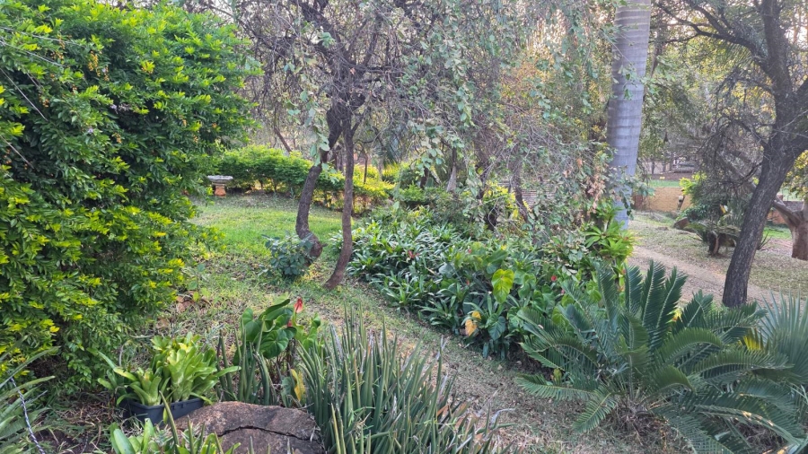 3 Bedroom Property for Sale in Letsitele Limpopo