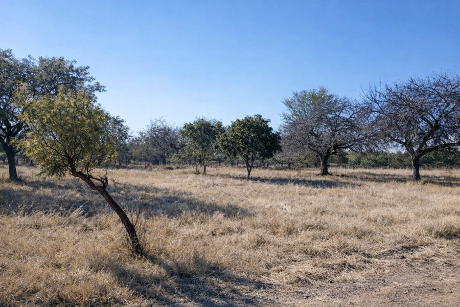 Commercial Property for Sale in Myngenoegen A H Limpopo