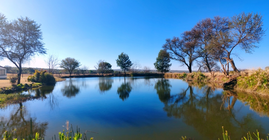 Commercial Property for Sale in Modimolle Limpopo
