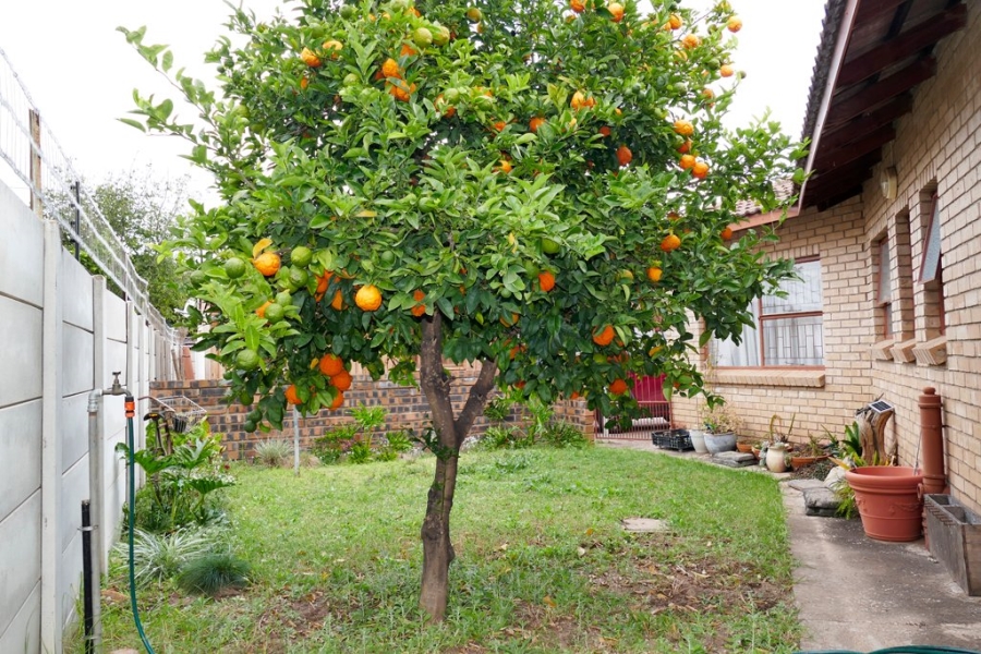 3 Bedroom Property for Sale in Welgelegen Limpopo