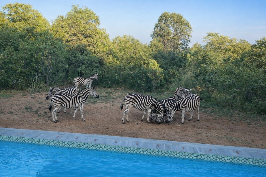 4 Bedroom Property for Sale in Bela Bela Rural Limpopo
