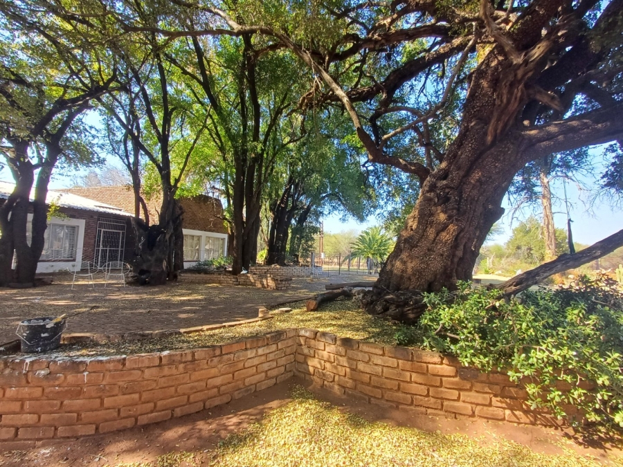 Commercial Property for Sale in Kwaggasvlakte AH Limpopo