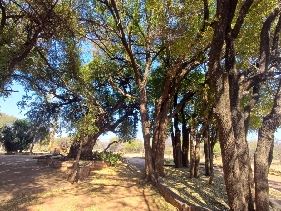 Commercial Property for Sale in Kwaggasvlakte AH Limpopo