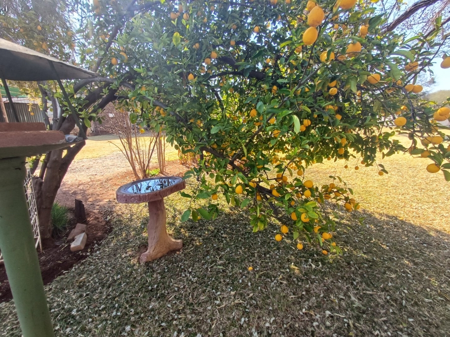 Commercial Property for Sale in Kwaggasvlakte AH Limpopo