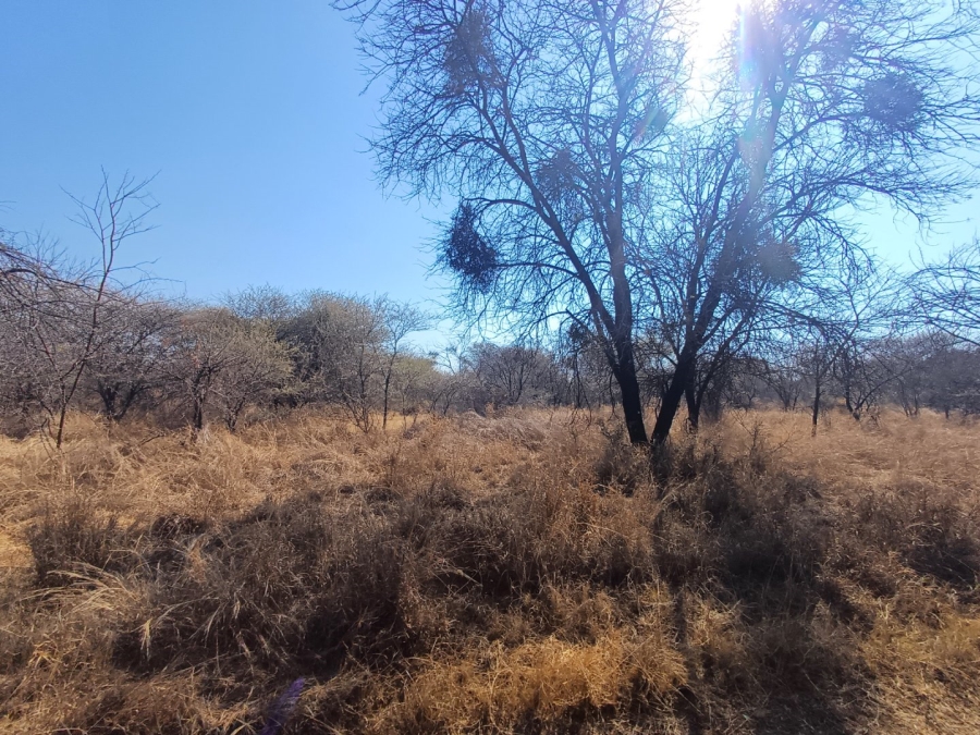 Commercial Property for Sale in Kwaggasvlakte AH Limpopo