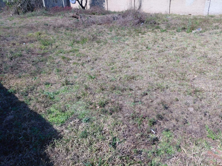 Commercial Property for Sale in Bendor Limpopo
