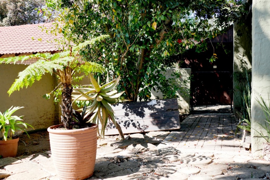 4 Bedroom Property for Sale in Bendor Limpopo