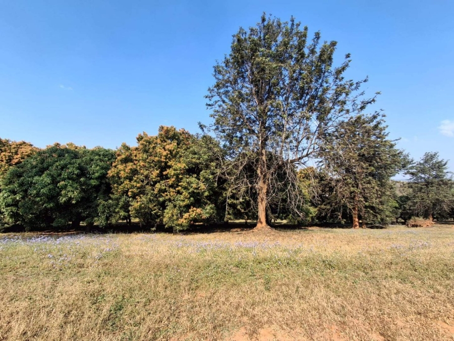 Commercial Property for Sale in Doornhoek Equestrian Estate Limpopo