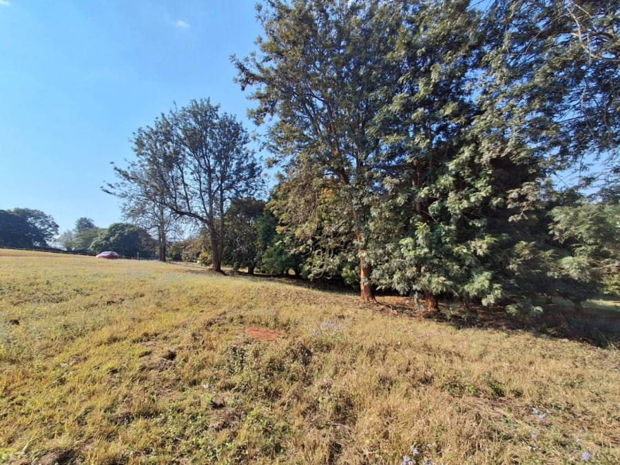 Commercial Property for Sale in Doornhoek Equestrian Estate Limpopo