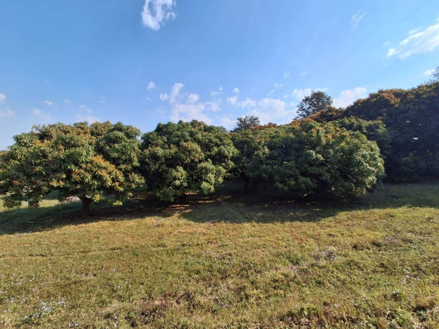 Commercial Property for Sale in Doornhoek Equestrian Estate Limpopo