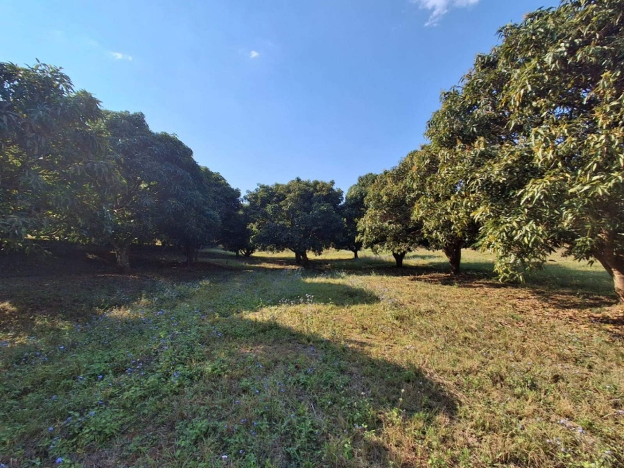 Commercial Property for Sale in Doornhoek Equestrian Estate Limpopo
