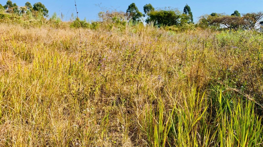 Commercial Property for Sale in Premierpark Limpopo