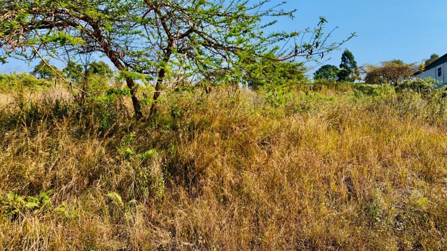 Commercial Property for Sale in Premierpark Limpopo