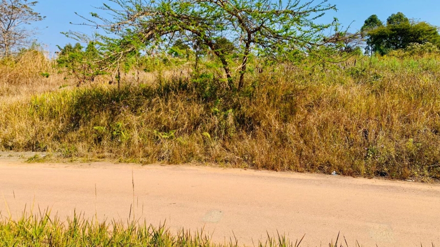 Commercial Property for Sale in Premierpark Limpopo