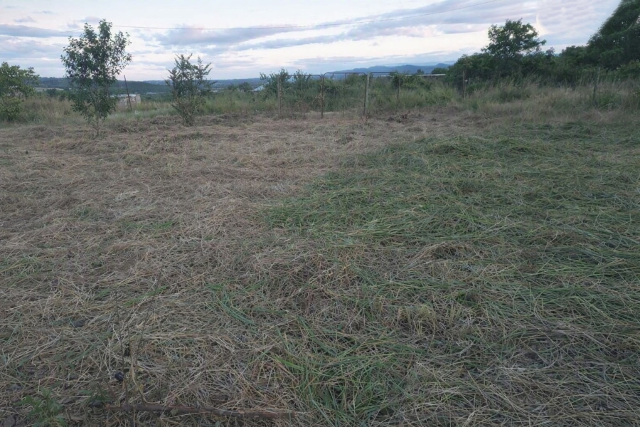 Commercial Property for Sale in Polokwane Rural Limpopo