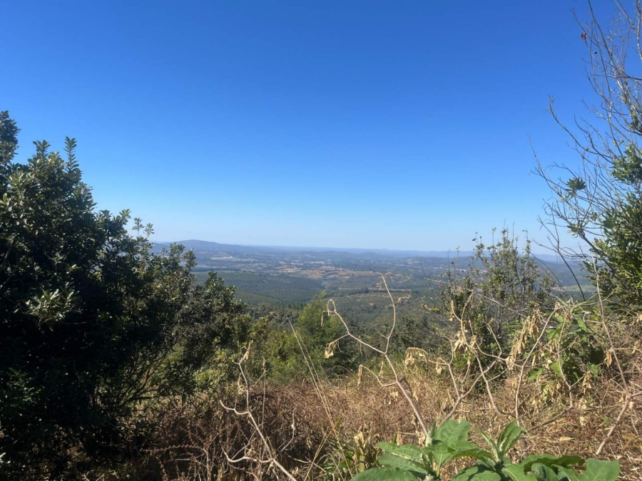 Commercial Property for Sale in Tzaneen Rural Limpopo