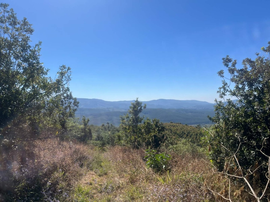 Commercial Property for Sale in Tzaneen Rural Limpopo
