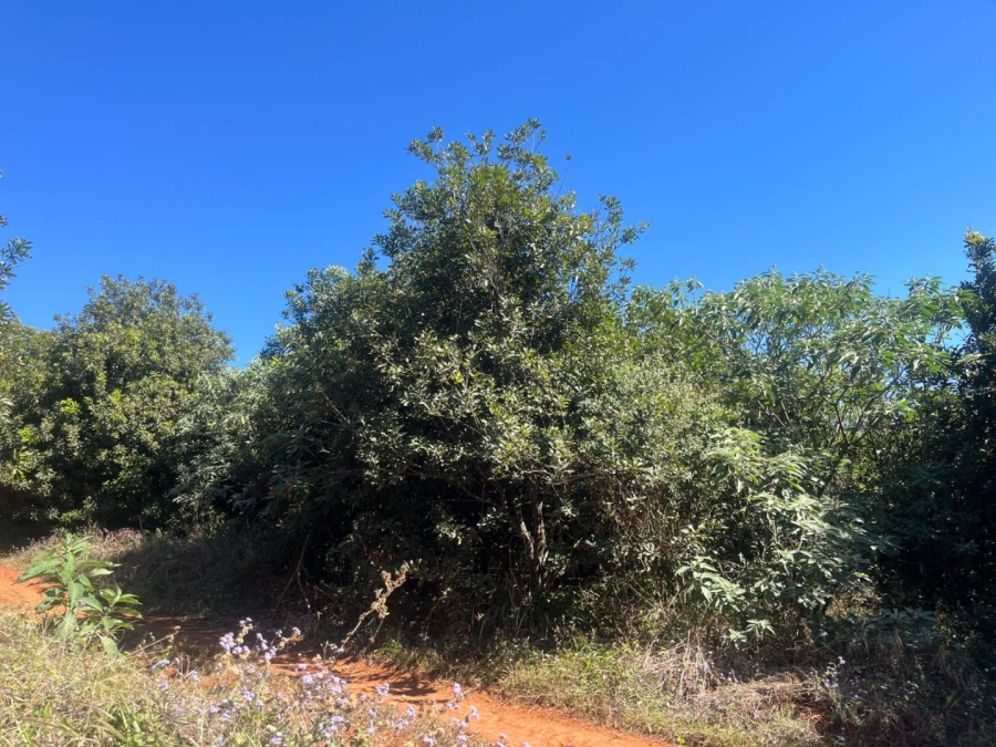 Commercial Property for Sale in Tzaneen Rural Limpopo