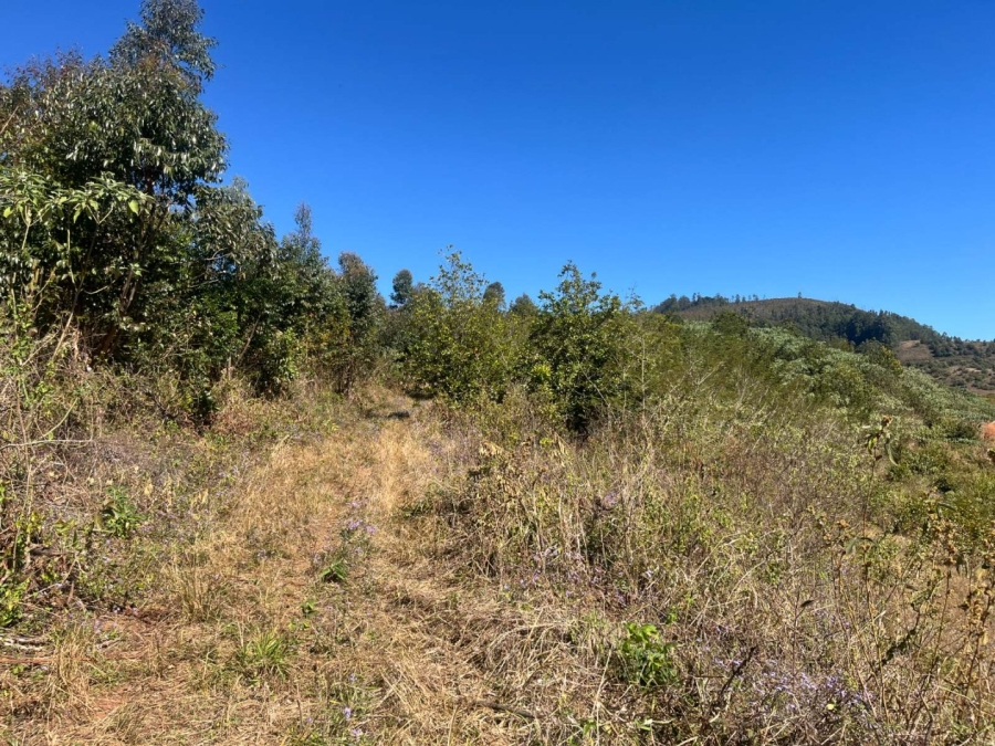 Commercial Property for Sale in Tzaneen Rural Limpopo