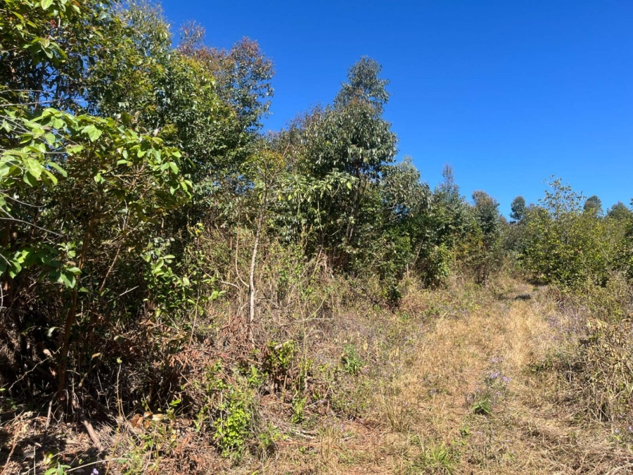 Commercial Property for Sale in Tzaneen Rural Limpopo