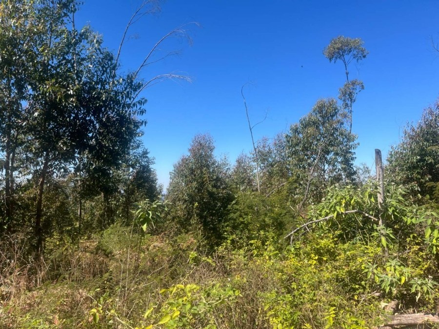 Commercial Property for Sale in Tzaneen Rural Limpopo