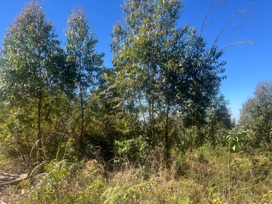 Commercial Property for Sale in Tzaneen Rural Limpopo