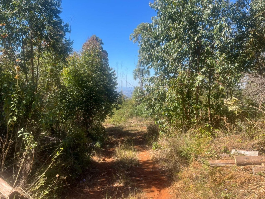 Commercial Property for Sale in Tzaneen Rural Limpopo