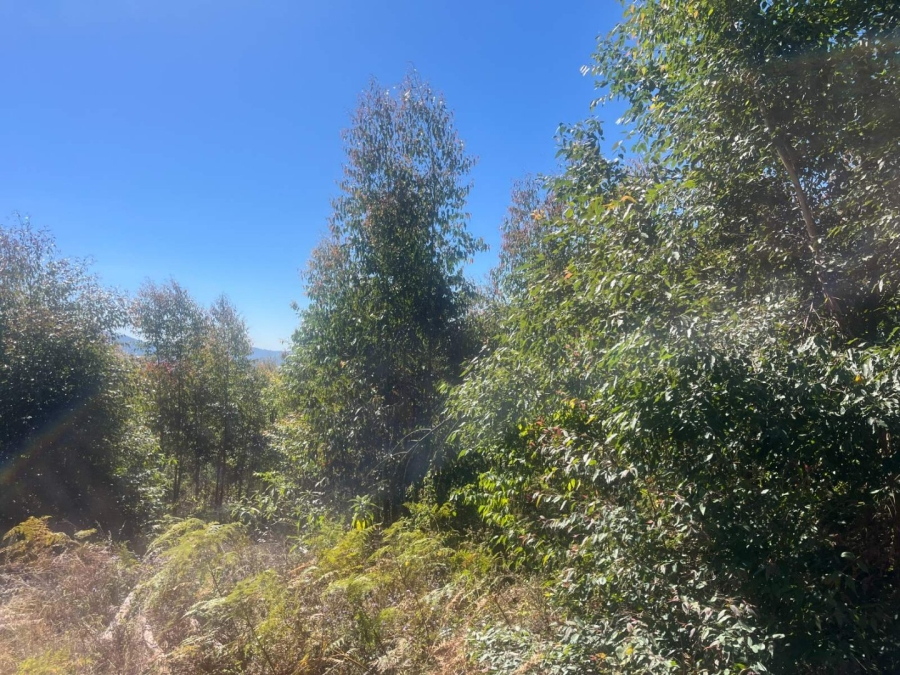 Commercial Property for Sale in Tzaneen Rural Limpopo