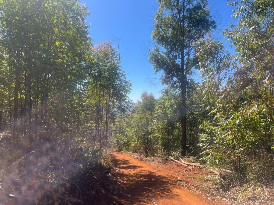 Commercial Property for Sale in Tzaneen Rural Limpopo