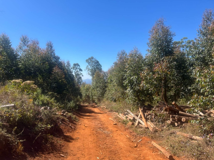 Commercial Property for Sale in Tzaneen Rural Limpopo