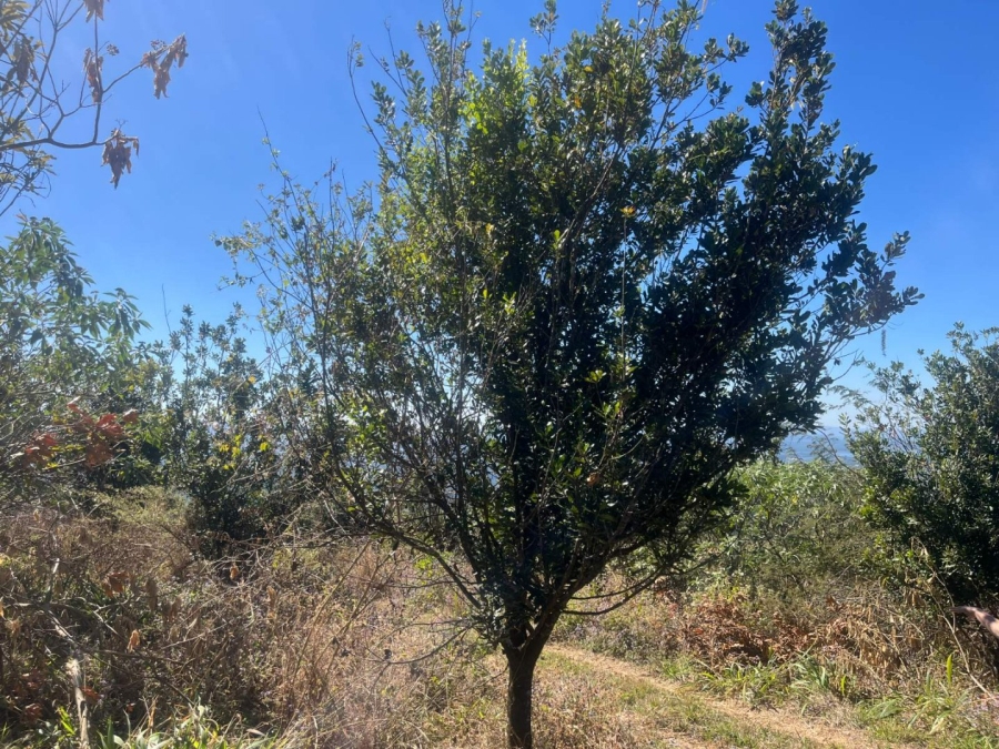 Commercial Property for Sale in Tzaneen Rural Limpopo