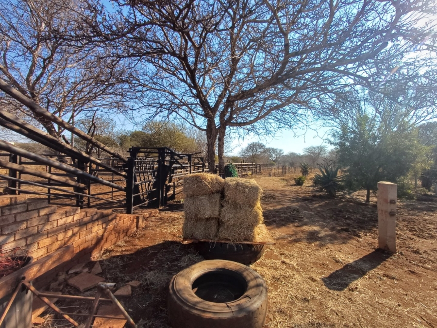 Commercial Property for Sale in Wilderbeestaagte SH Limpopo
