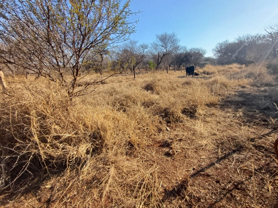 Commercial Property for Sale in Wilderbeestaagte SH Limpopo