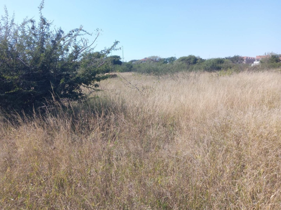 Commercial Property for Sale in Bendor Limpopo