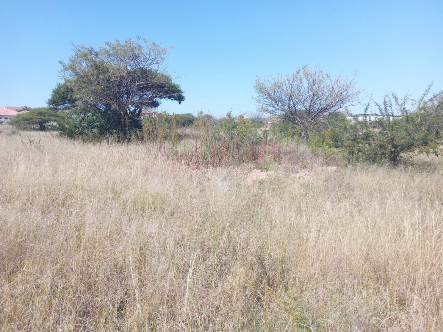 Commercial Property for Sale in Bendor Limpopo