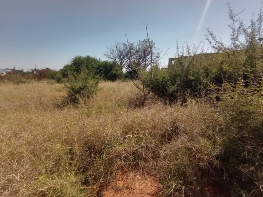 Commercial Property for Sale in Bendor Limpopo