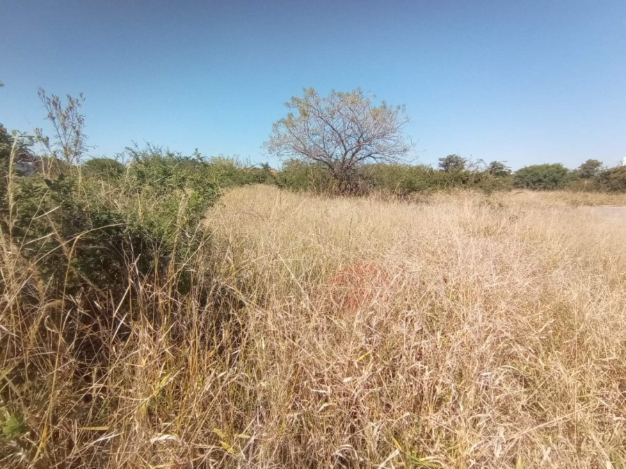 Commercial Property for Sale in Bendor Limpopo