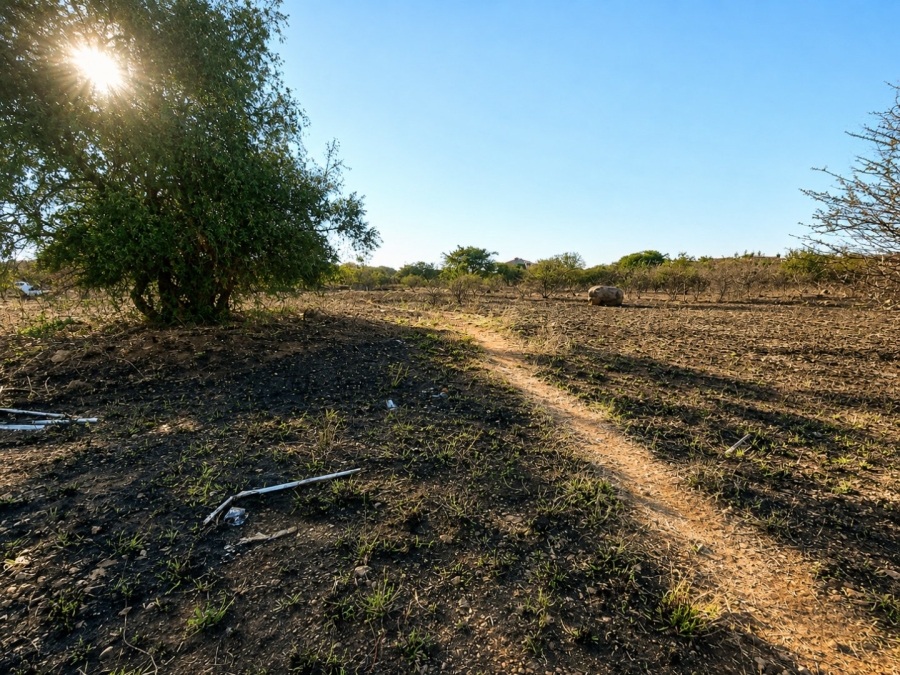 Commercial Property for Sale in Bendor Limpopo