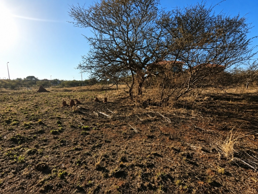 Commercial Property for Sale in Bendor Limpopo