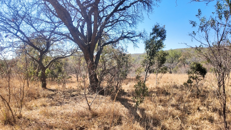 4 Bedroom Property for Sale in Modimolle Rural Limpopo