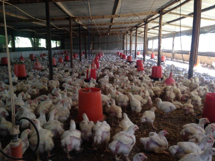 Commercial Property for Sale in Groblersdal Limpopo