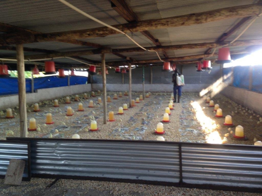 Commercial Property for Sale in Groblersdal Limpopo