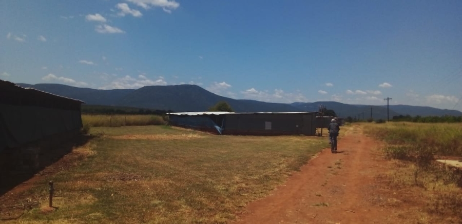 Commercial Property for Sale in Groblersdal Limpopo